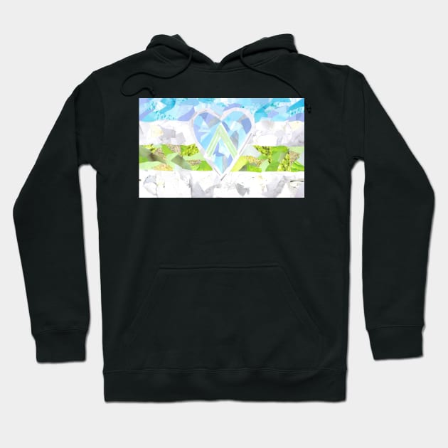 Love Integral Aro Hoodie by cajunhusker